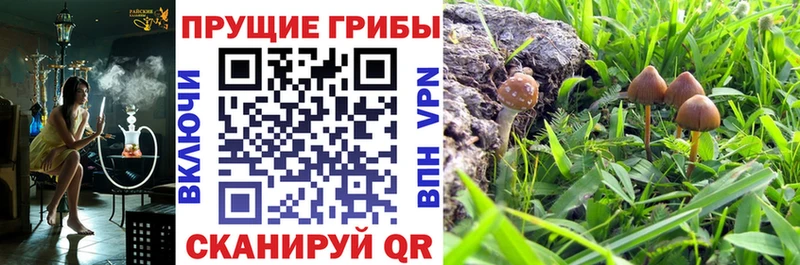 Псилоцибиновые грибы прущие грибы  Славянск-на-Кубани 