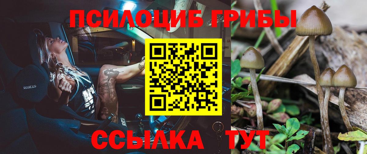 Галлюциногенные грибы прущие грибы Славянск-на-Кубани